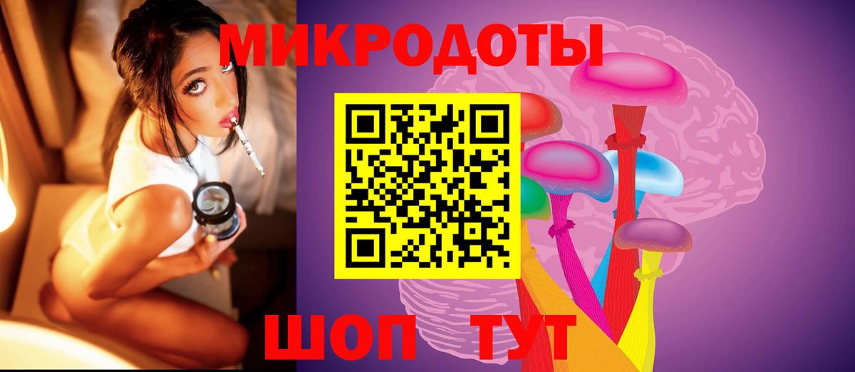 Псилоцибиновые грибы мицелий Гусиноозёрск