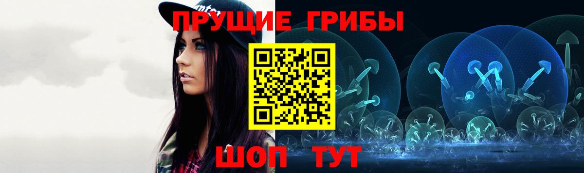 закладки  Вход с VPN  Гусиноозёрск  Псилоцибиновые грибы ЛСД  Псилоцибиновые грибы Cubensis 