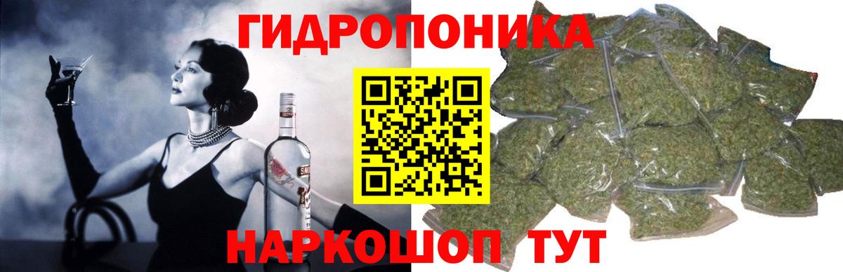Бошки Шишки марихуана  Бошки Шишки OG Kush  Каннабис семена  Вход с VPN  Гусиноозёрск 